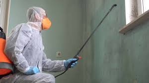 Mold Remediation for Rental Properties in Rio Del Mar, CA